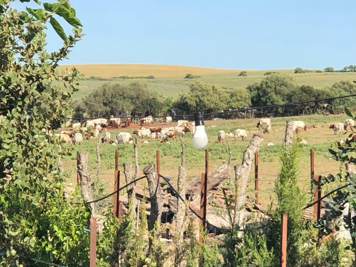 Alojamiento Rural El Soldao Medina-Sidonia Kültér fotó